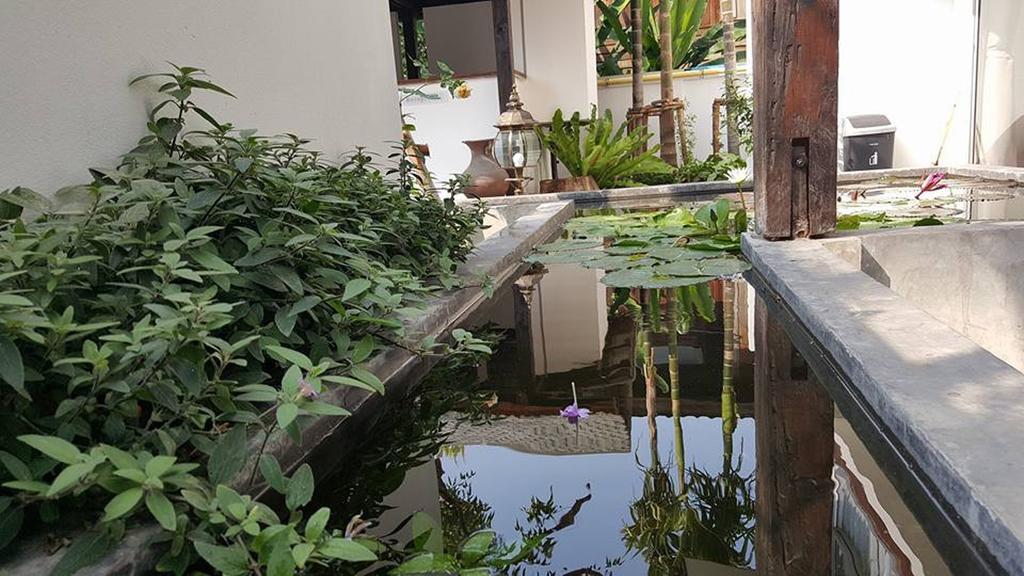 The Home Chiangmai Luxury Guesthouse Чіангмай Екстер'єр фото